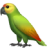 parrot